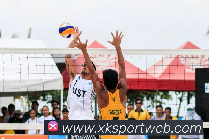 星空体育发展历程